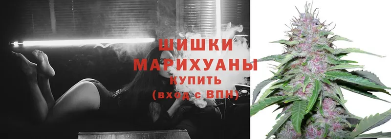 OMG маркетплейс  Ржев  Бошки марихуана SATIVA & INDICA  что такое  